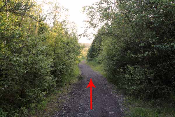 Photograph of Walking Route - Image 20