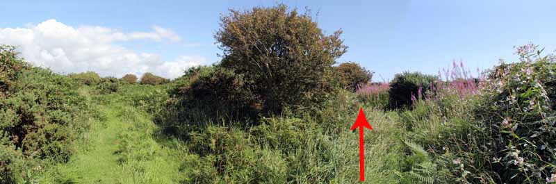 Photograph of Walking Route - Image 13