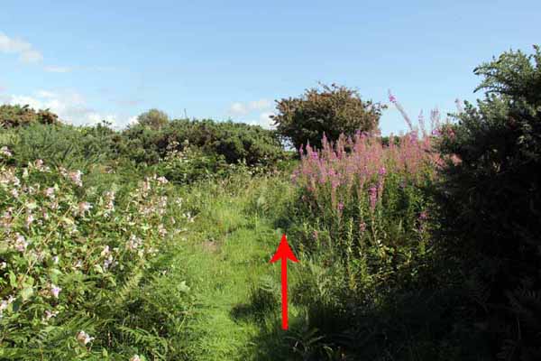 Photograph of Walking Route - Image 14