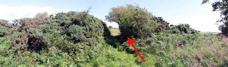 Photograph of Walking Route - Image 15