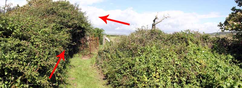 Photograph of Walking Route - Image 19