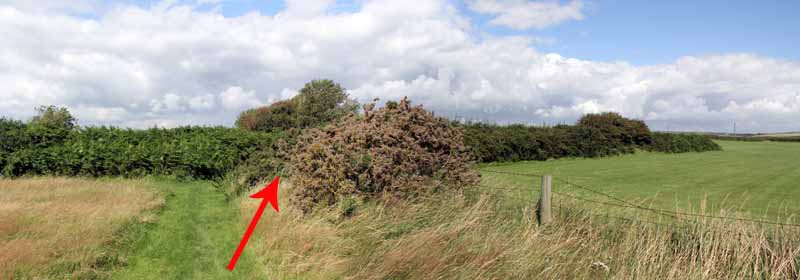 Photograph of Walking Route - Image 22