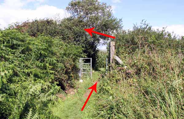 Photograph of Walking Route - Image 23