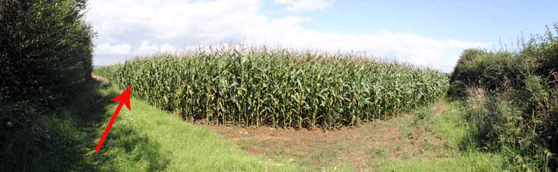 Photograph of Walking Route - Image 24