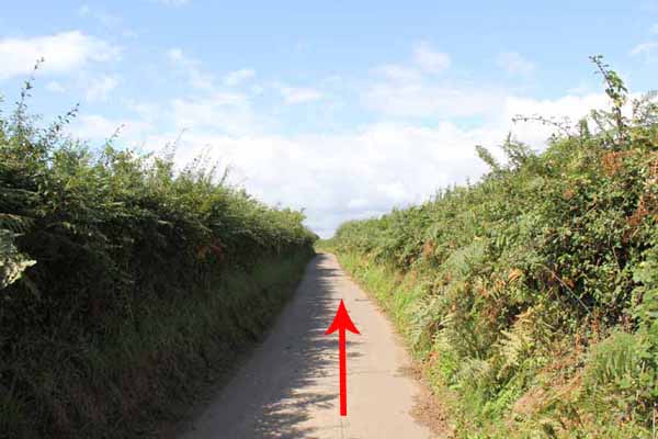 Photograph of Walking Route - Image 28