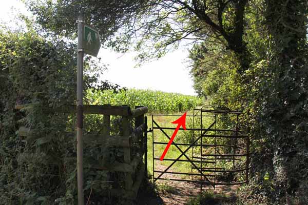 Photograph of Walking Route - Image 30