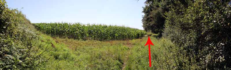 Photograph of Walking Route - Image 31