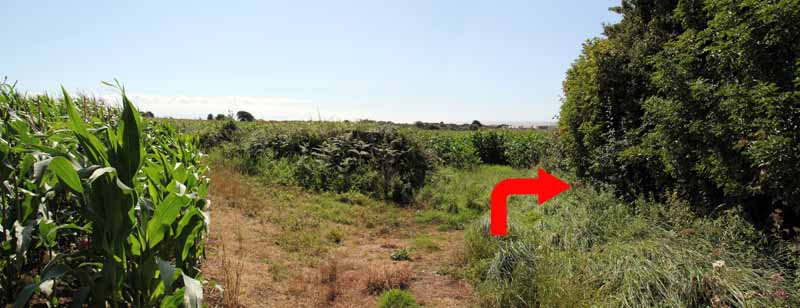 Photograph of Walking Route - Image 32