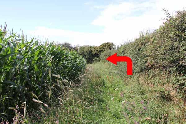 Photograph of Walking Route - Image 33