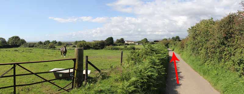 Photograph of Walking Route - Image 35
