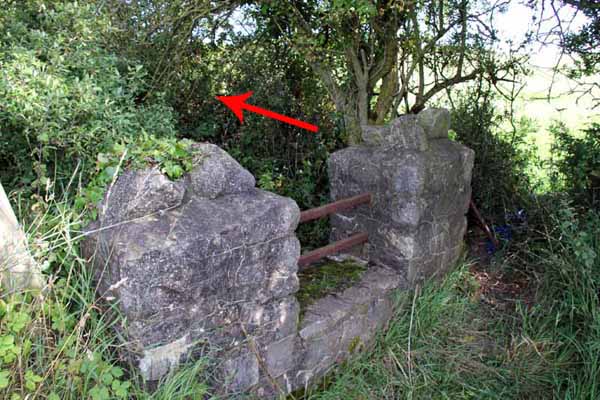 Photograph of Walking Route - Image 41