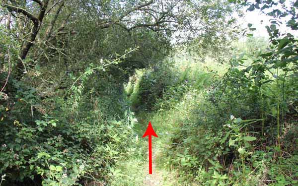 Photograph of Walking Route - Image 42