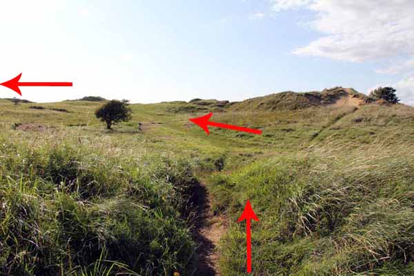 Photograph of Walking Route - Image 60