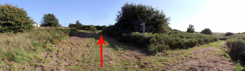 Photograph of Walking Route - Image 63