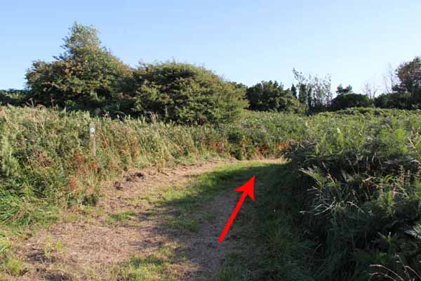 Photograph of Walking Route - Image 64