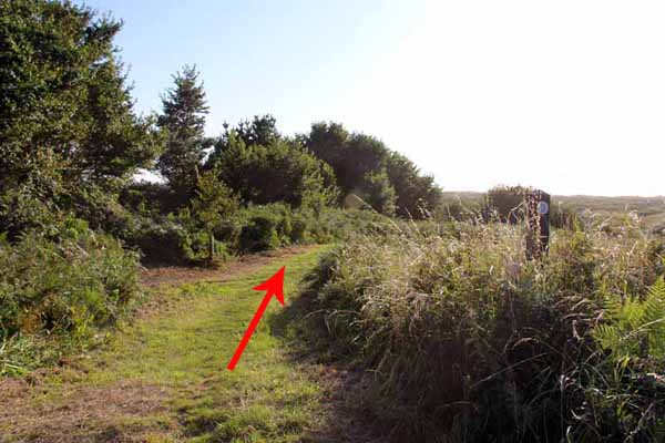 Photograph of Walking Route - Image 65