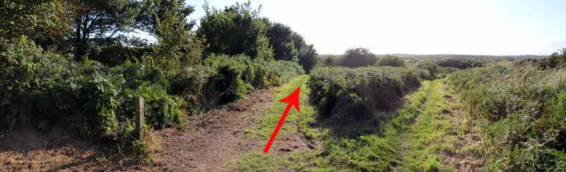 Photograph of Walking Route - Image 66