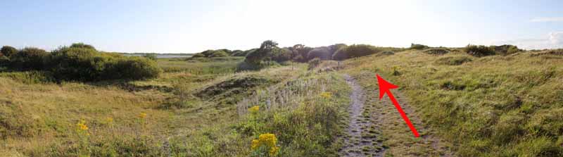 Photograph of Walking Route - Image 67