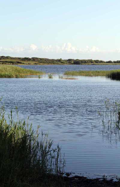 Photograph of Walking Route - Image 68