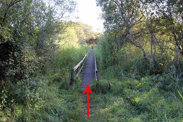 Photograph of Walking Route - Image 69