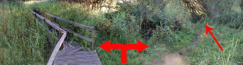 Photograph of Walking Route - Image 70