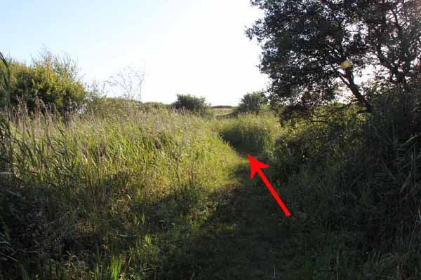 Photograph of Walking Route - Image 72