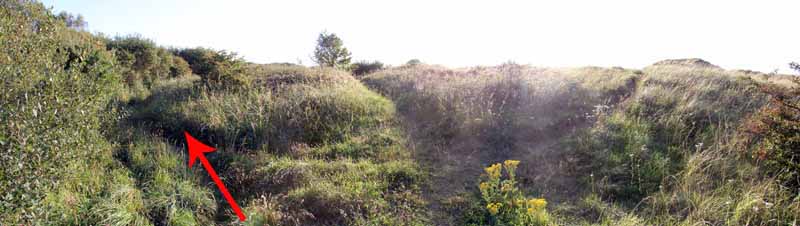 Photograph of Walking Route - Image 73