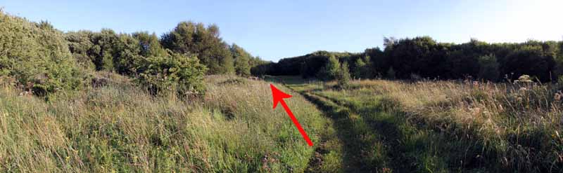 Photograph of Walking Route - Image 74