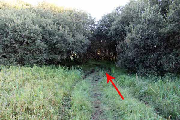 Photograph of Walking Route - Image 75