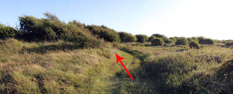 Photograph of Walking Route - Image 77