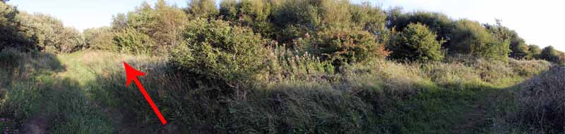 Photograph of Walking Route - Image 78