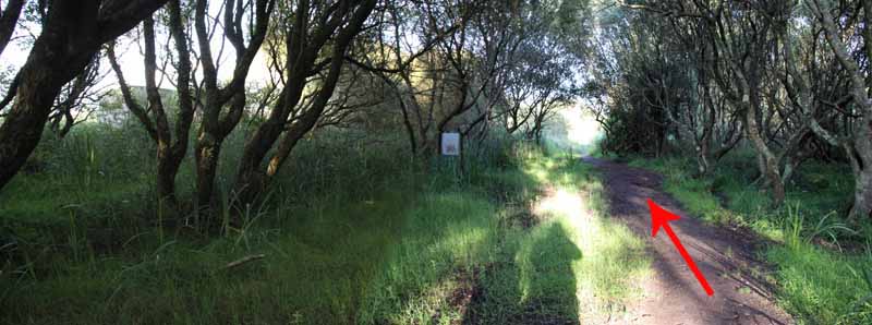 Photograph of Walking Route - Image 79