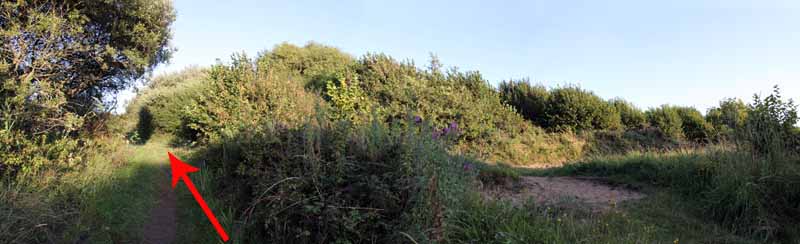 Photograph of Walking Route - Image 80