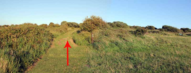 Photograph of Walking Route - Image 84