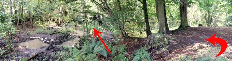 Photograph of Walking Route - Image 4