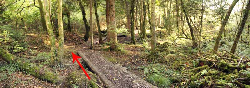 Photograph of Walking Route - Image 5