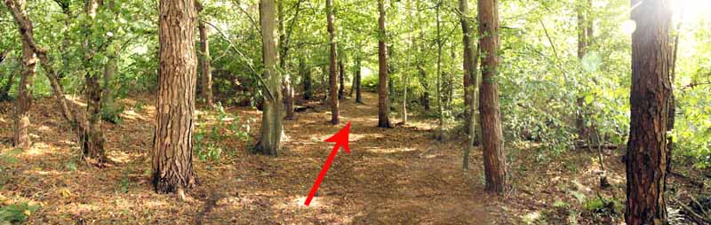 Photograph of Walking Route - Image 6