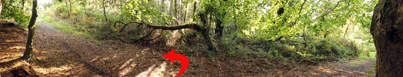 Photograph of Walking Route - Image 7