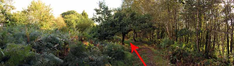 Photograph of Walking Route - Image 8