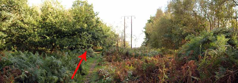 Photograph of Walking Route - Image 9