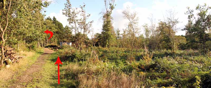 Photograph of Walking Route - Image 10