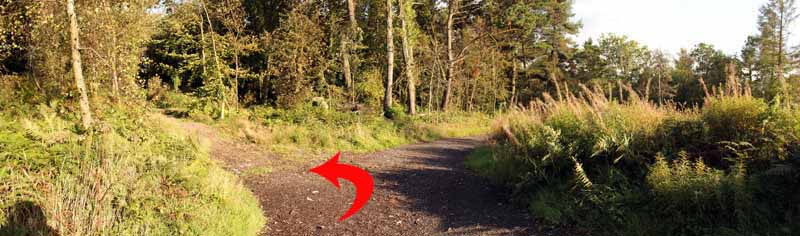 Photograph of Walking Route - Image 11