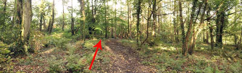 Photograph of Walking Route - Image 12