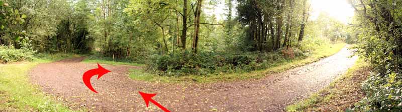 Photograph of Walking Route - Image 13