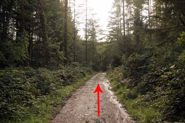 Photograph of Walking Route - Image 14