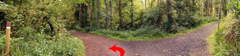 Photograph of Walking Route - Image 15