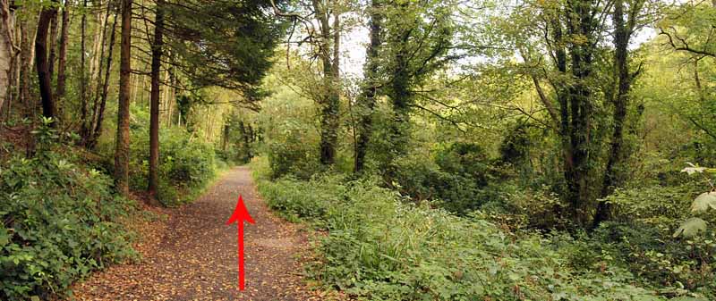 Photograph of Walking Route - Image 16