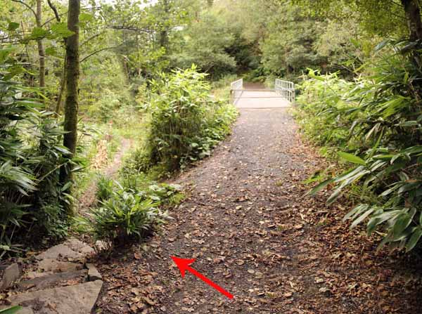 Photograph of Walking Route - Image 17