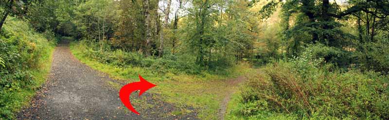 Photograph of Walking Route - Image 22