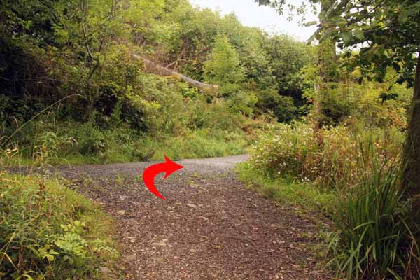 Photograph of Walking Route - Image 25